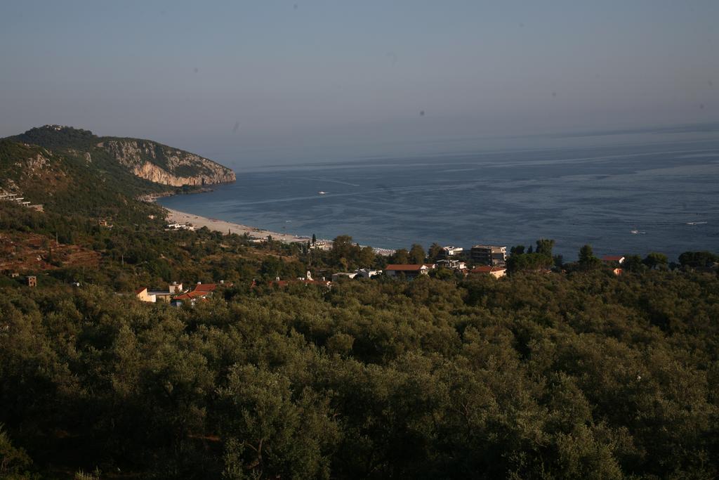 Hotel Belle Vue Дхерми Номер фото